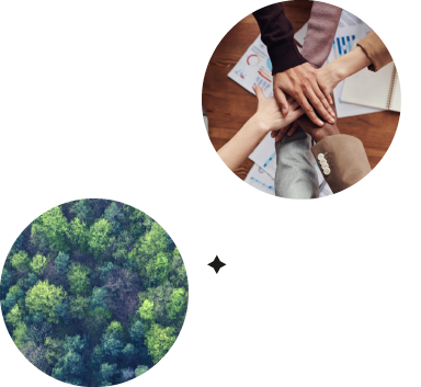 Acerca de Bi Learning