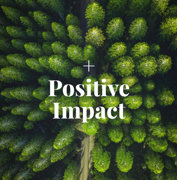 Impacto Positivo